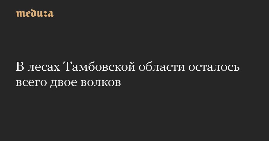 История России на самом деле - В лесах Тамбовской области осталось всего двое волков.jpg