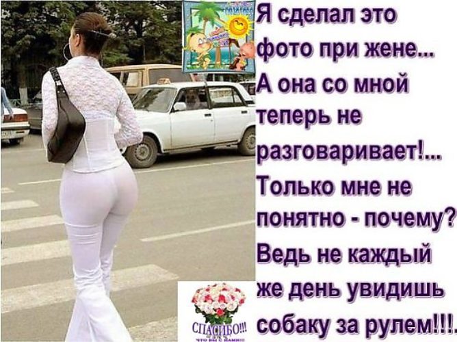 Разница между мужчиной и женщиной - Собака_vs_Задница.jpg