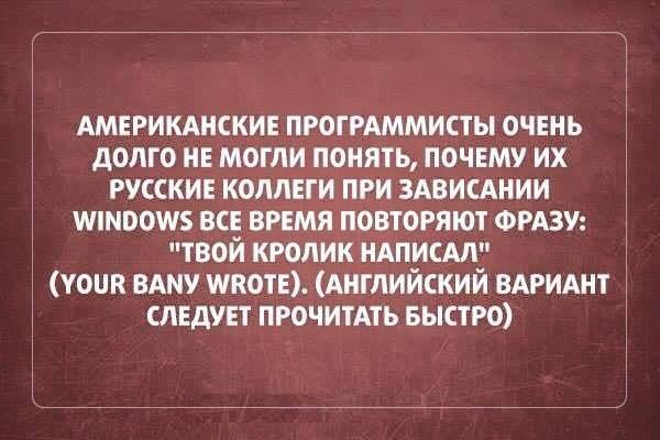 Компьютерный юмор - песни, стихи, истории - кролик написал.jpg