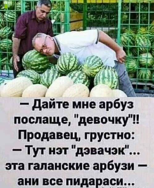 Веселые картинки - галанские арбузи.jpg