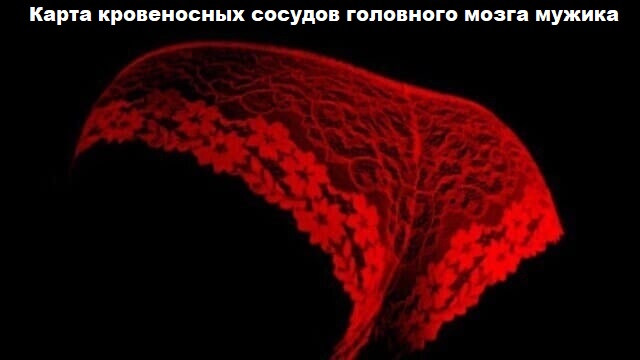 Веселые картинки - Мужик_мозг.jpg