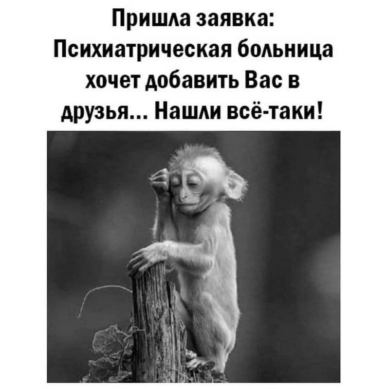 Мысли вслух - нашли, гады (Копировать).jpg