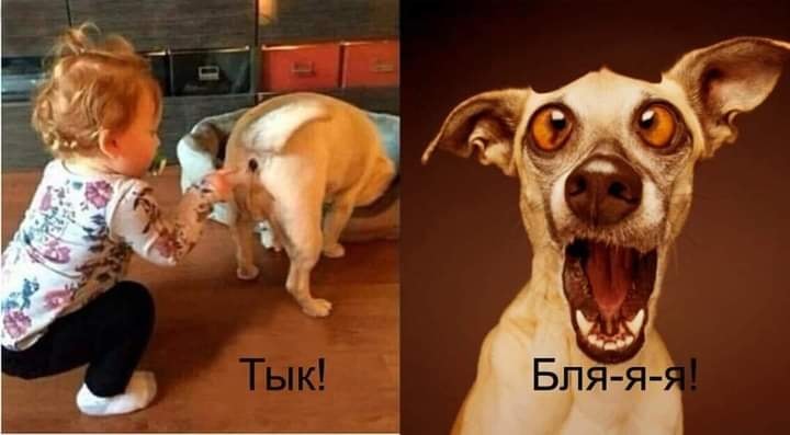 Веселые картинки - тык бля.jpg