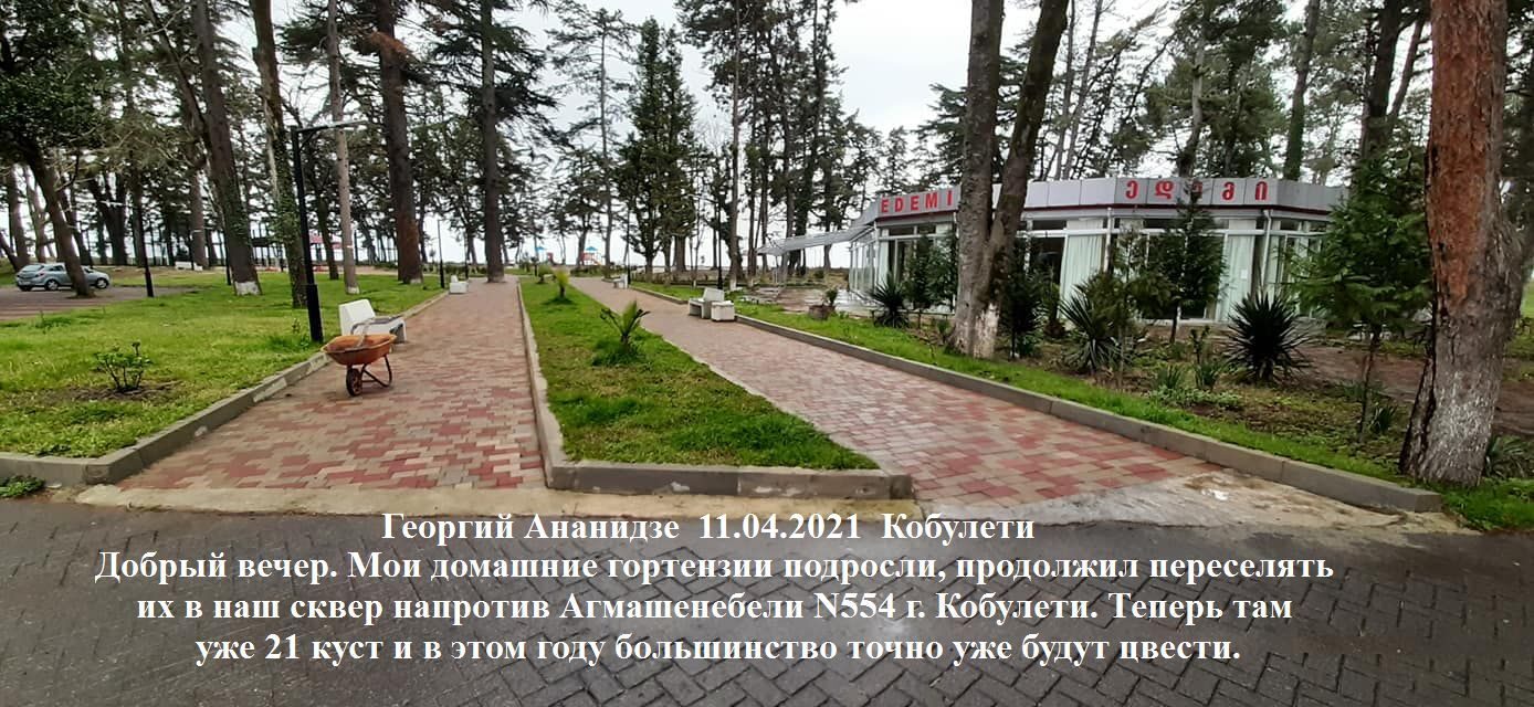 Кобулети - i (58).jpg
