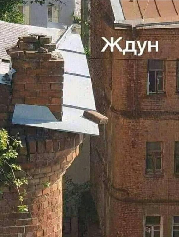 Ждун - жду.jpg