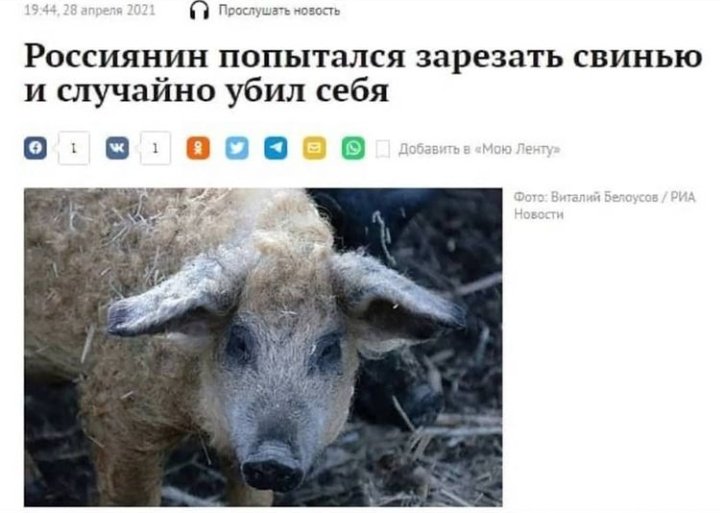 Флудильня-2 - E0b1I8mXMAEwRQ-.jpg