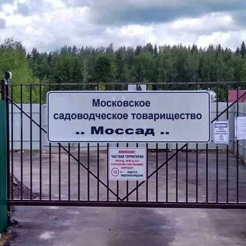 Веселые картинки - bbbf9af_Mossad.jpg