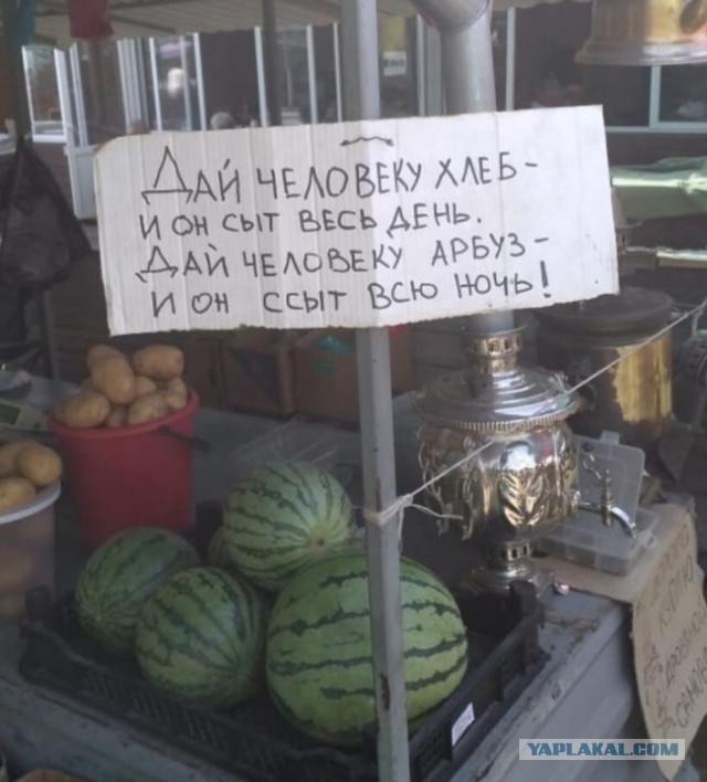 Флудильня-2 - 15808913.jpg