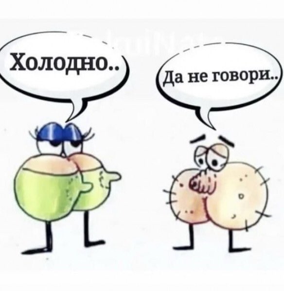 Веселые картинки - FHYE1wzWYAEAPR-.jpg