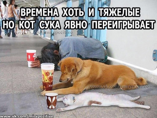 Веселые картинки - 444.png