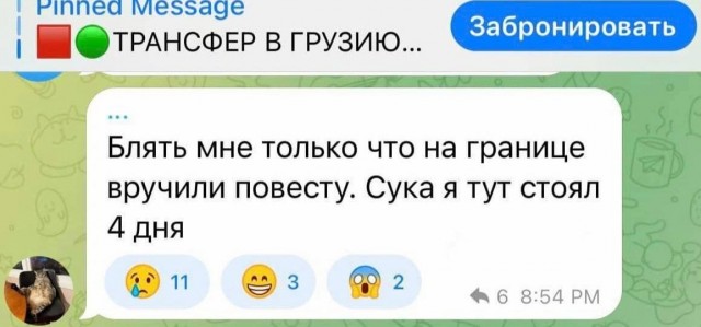 Россия vs Грузия - 17223247.jpg
