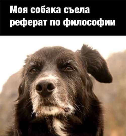 Веселые картинки - IMG_20221015_060744_942.jpg
