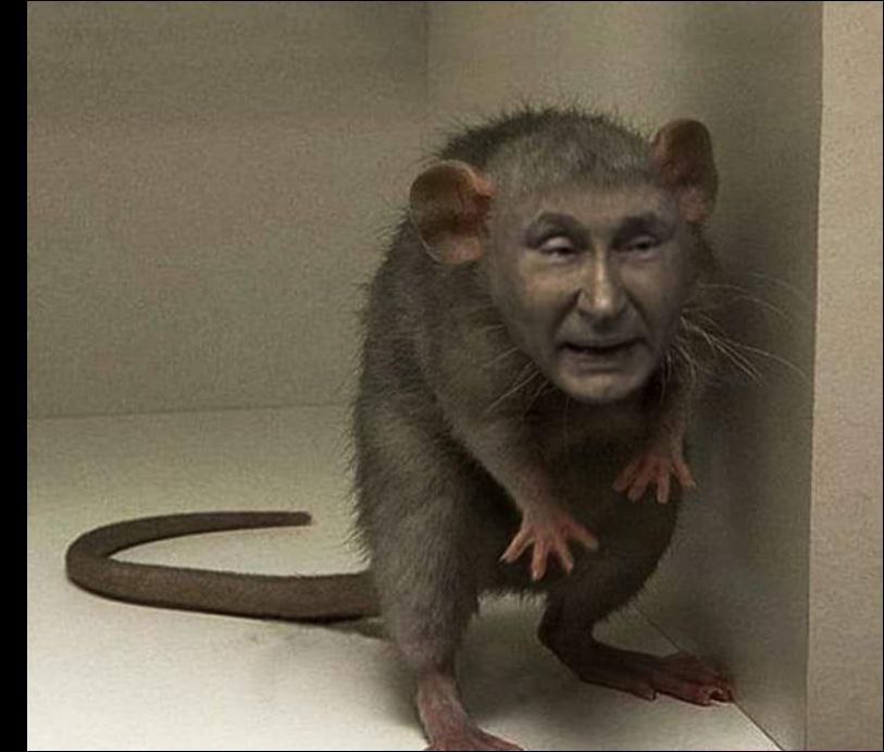 Политическая карикатура - крысло.jpg