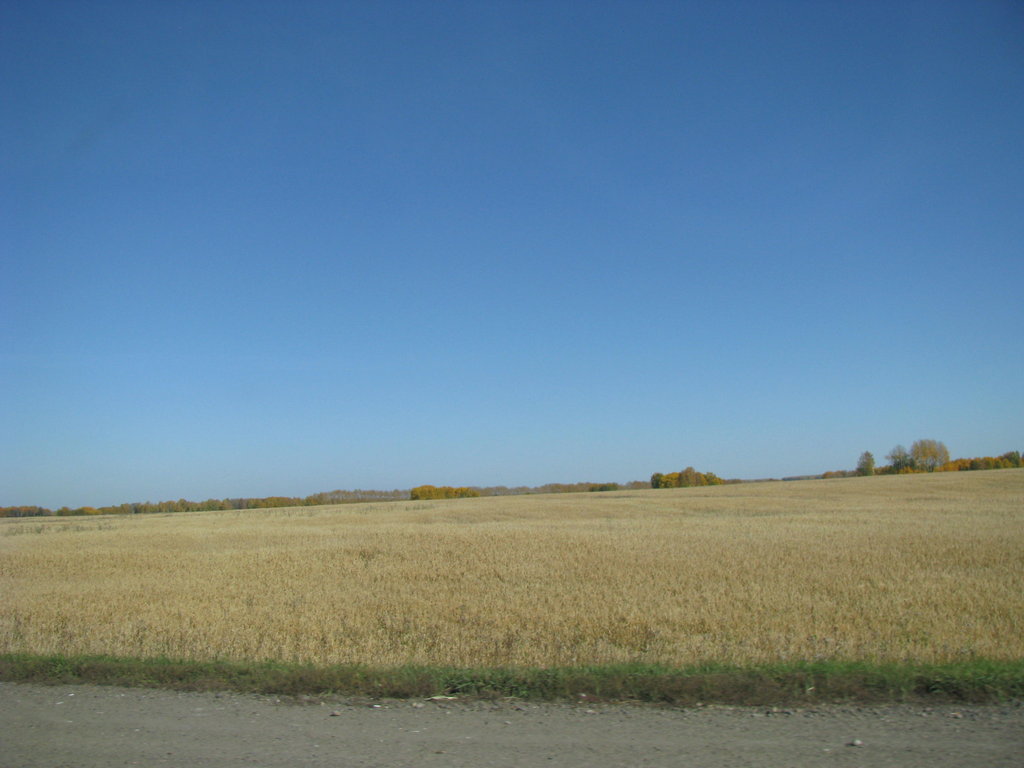 Путешествие в Томск. надцать лет спустя. - IMG_3603.JPG
