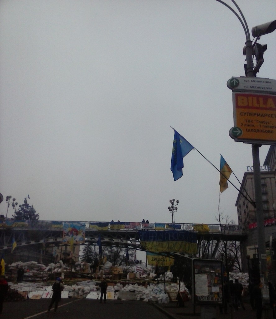 Соглашение об ассоциации ЕС-Украина, Майдан - CAM00251.jpg
