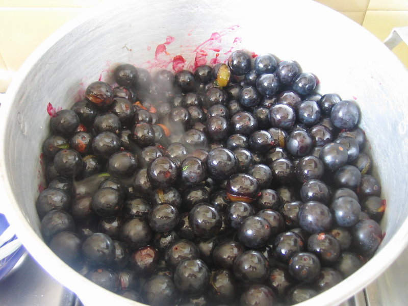 Грузинская кухня - tkemaliboil.jpg