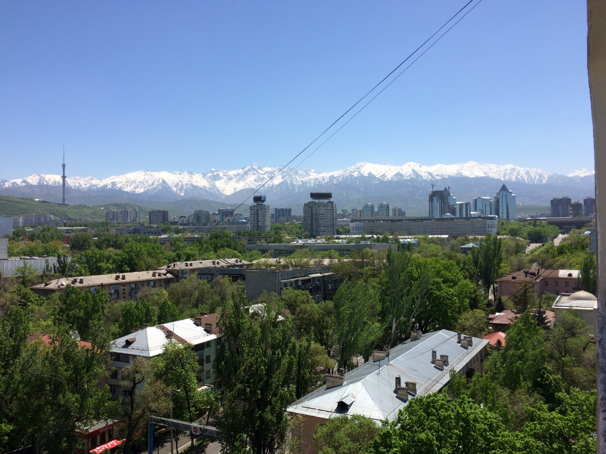 Весна в кадре  - A1D74FE0-0F81-461D-8DFA-1843824AD373.jpeg