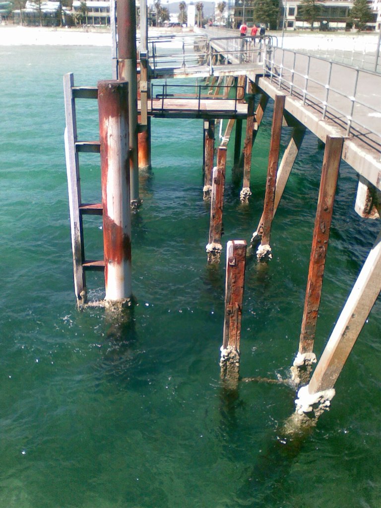 Черное море - Image038.jpg