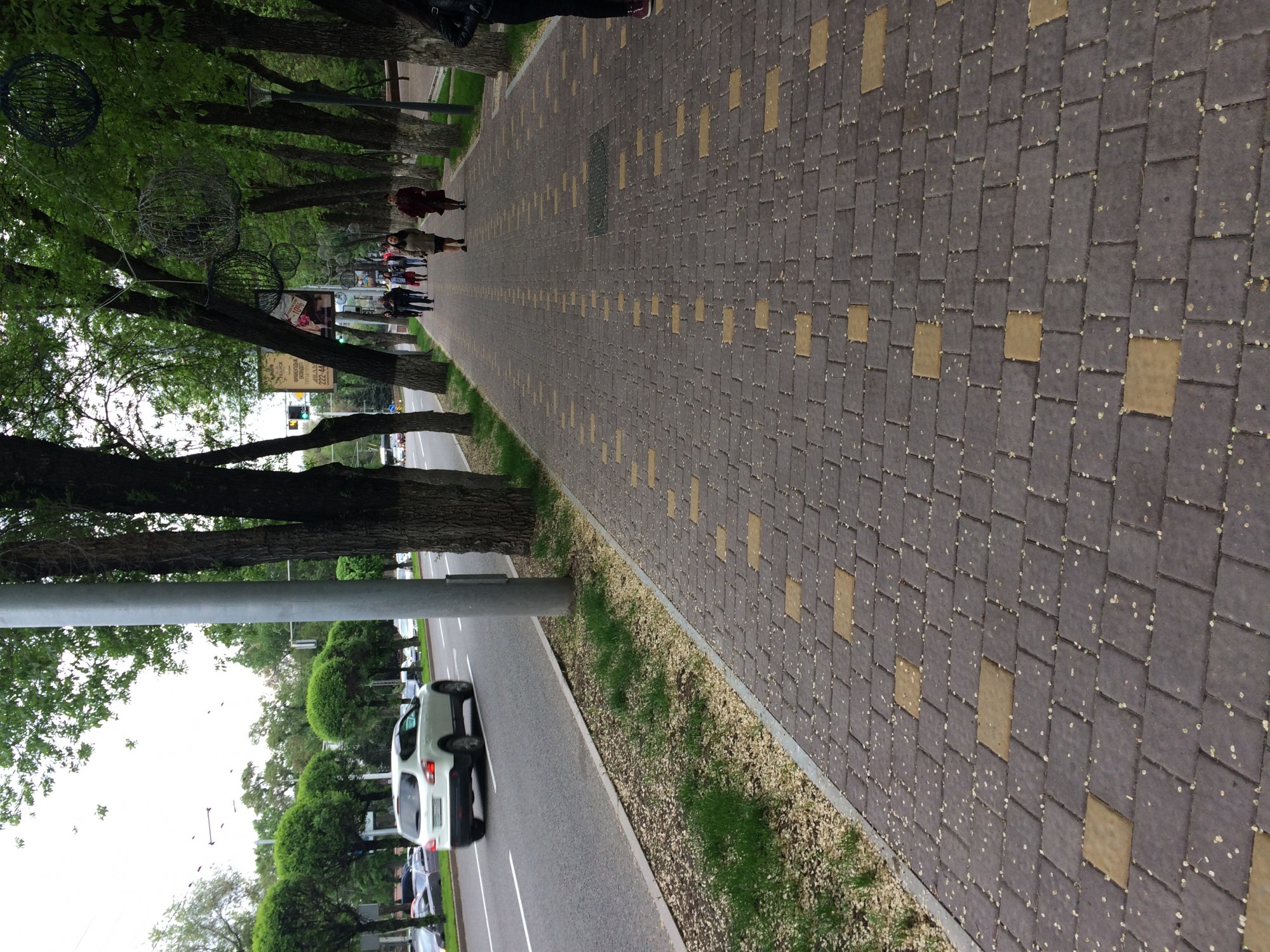 Весна в кадре  - B4C50A46-FBB9-4916-ADF2-768B23C9521D.jpeg