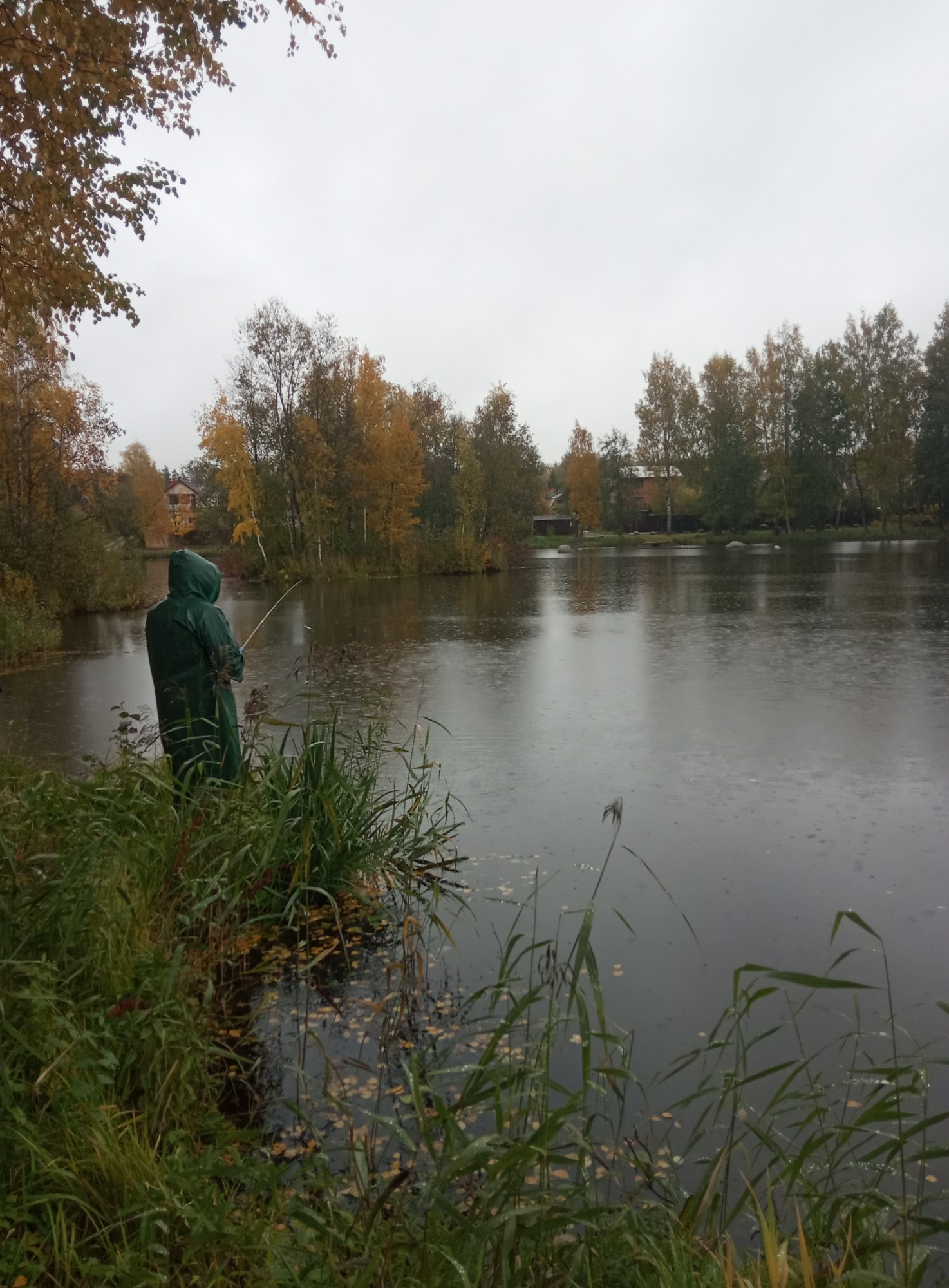 Краски осени - IMG_20191003_163647.jpg