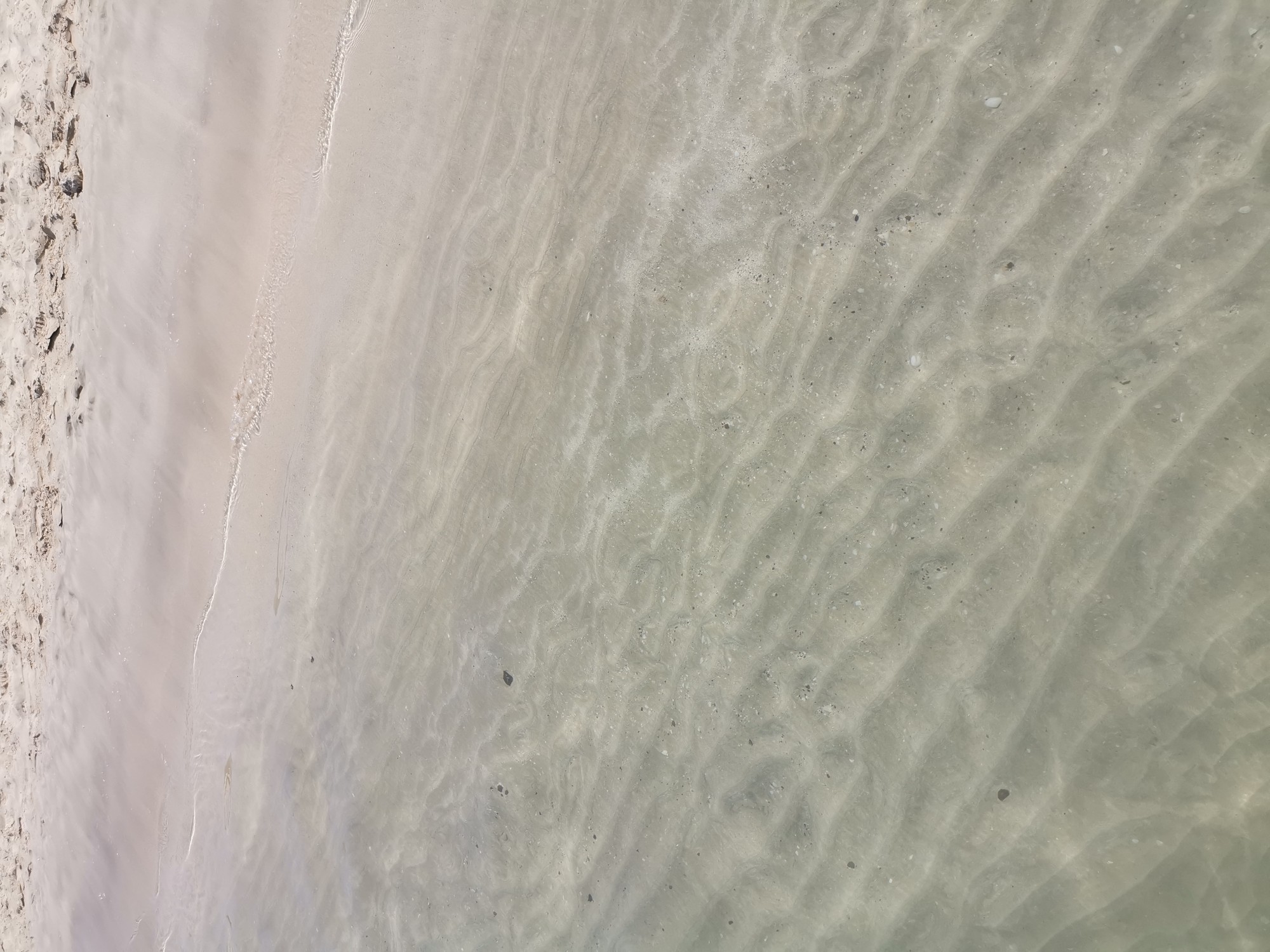 ОАЭ - IMG_20191014_111928_BURST001_COVER.jpg