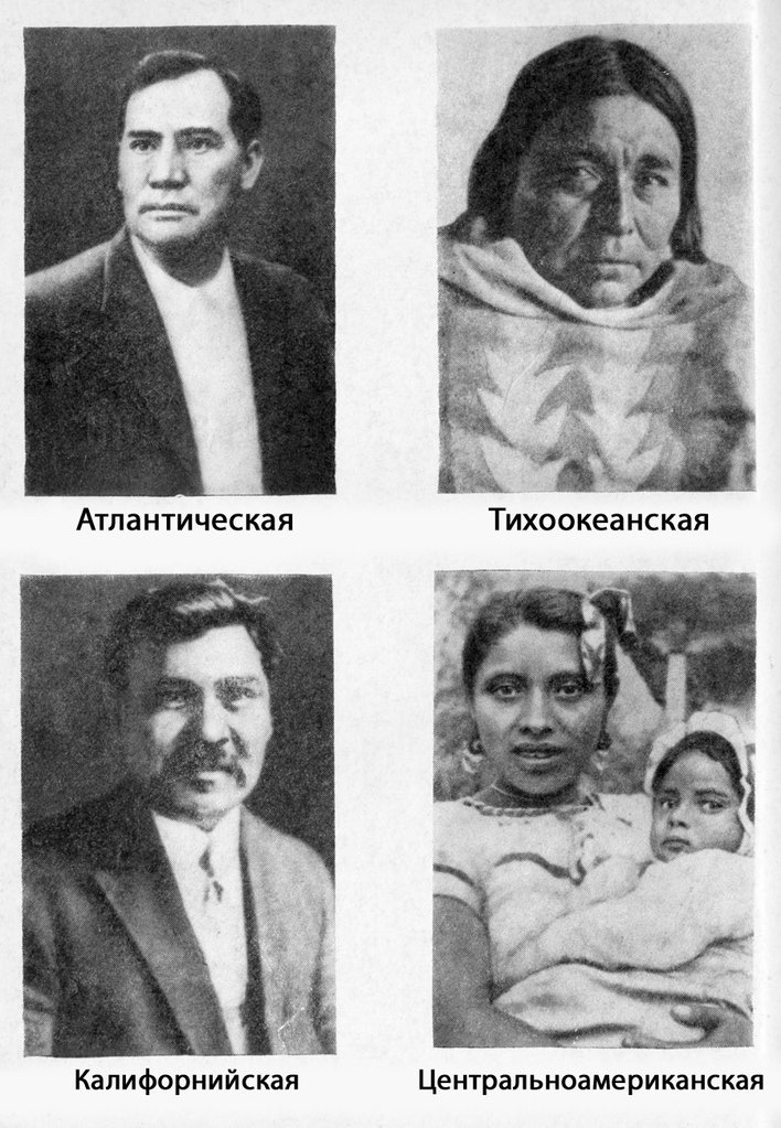 Антропология - rasa2.jpg