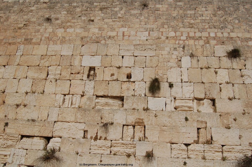 Шалом Исраэль, шалом Ершалаим - Bergmann_in_Israel_195.JPG
